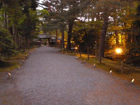 清水園 6月のライトアップ_e0135219_19123469.jpg