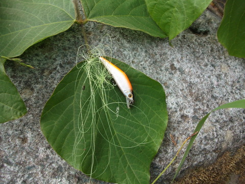a0279321_14375728.jpg