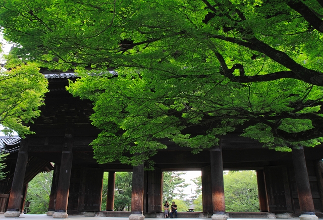 南禅寺 三門_c0110922_2158128.jpg