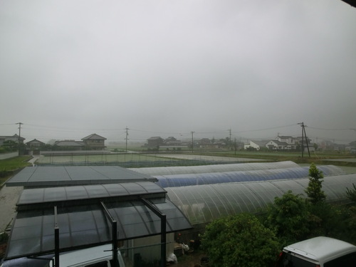 a0243325_16593076.jpg