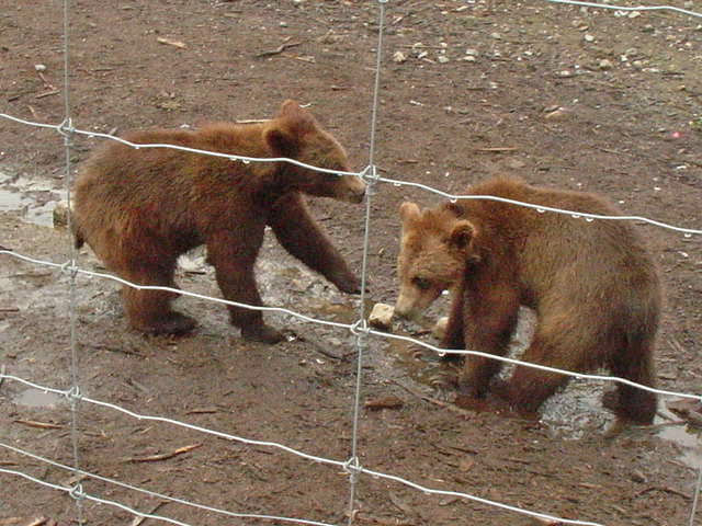 f0249630_22699.jpg