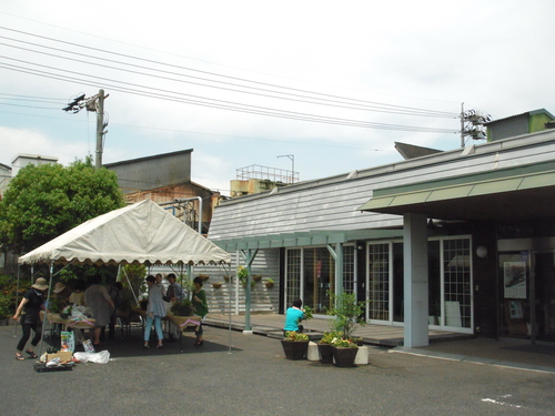 『涼しげな観葉植物 ハンギングバスケット』ありがとうございました。_b0211845_1716996.jpg