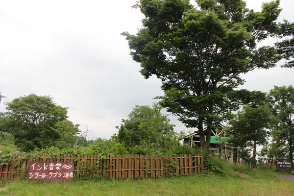 a0174458_73578.jpg
