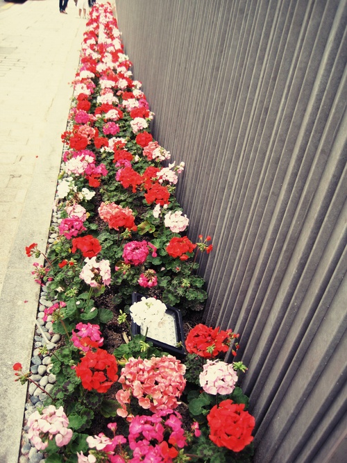 f0236260_13492778.jpg