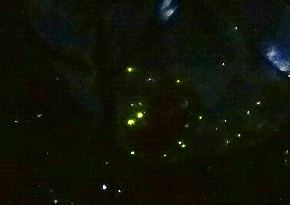 f0059673_23483640.jpg