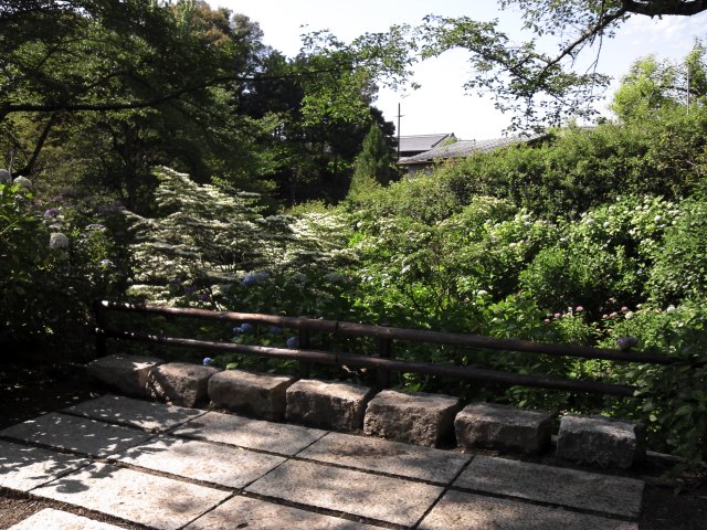 b0140774_91166.jpg