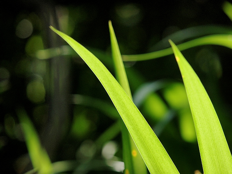 d0316677_2258357.jpg