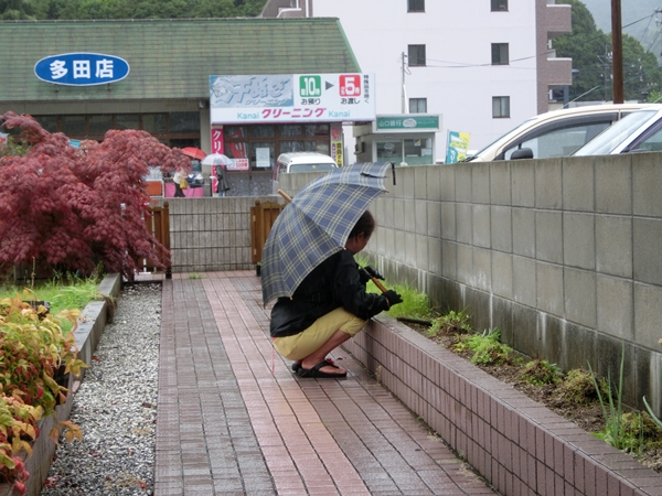 雨の日のドライブ！_a0199979_17144765.jpg