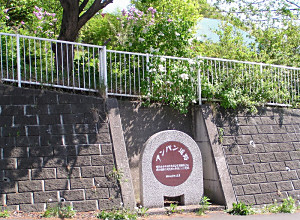 アンパン道路_f0078286_13295316.jpg