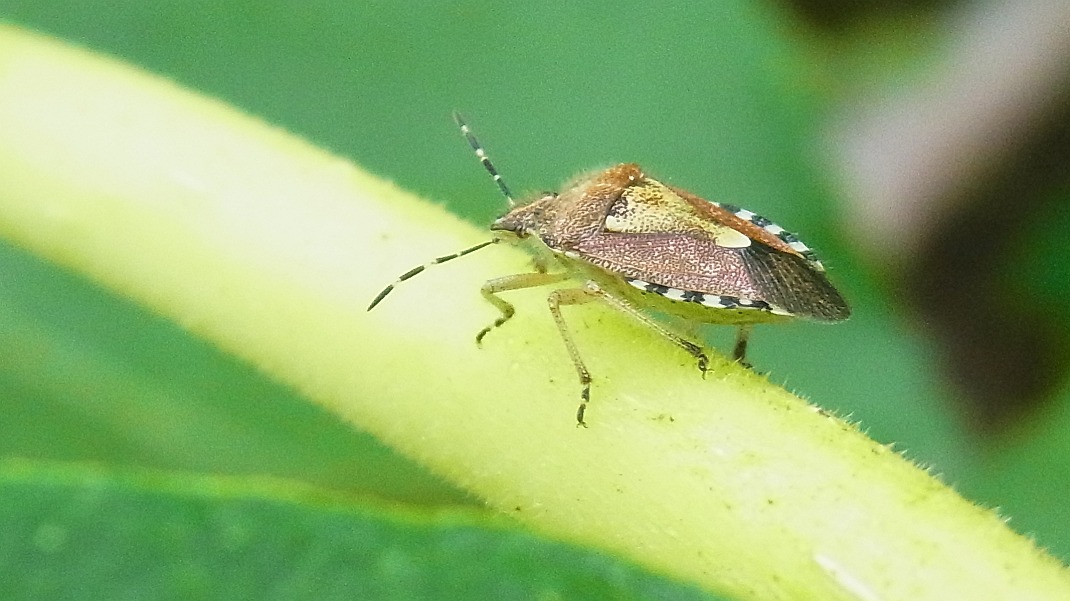 a0152692_17494970.jpg