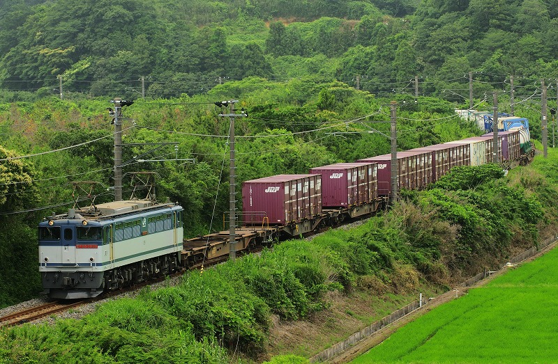 b0103495_12082.jpg