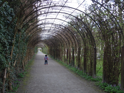 e0123104_827555.jpg