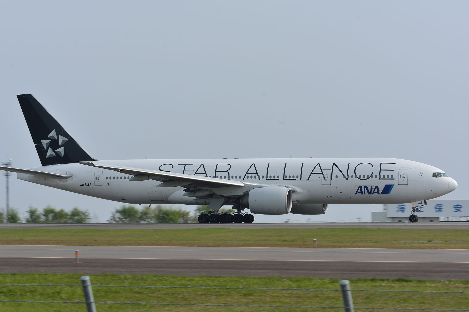 BOEING 777-200 / JA712A - STAR ALLIANCE - : SKY LOUNGE GARDEN