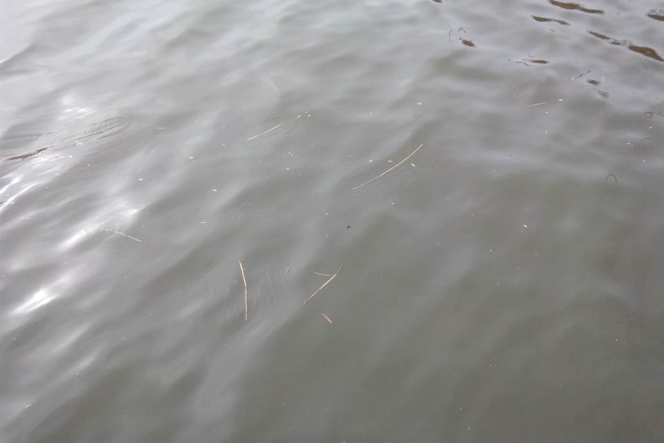 c0185132_19394529.jpg