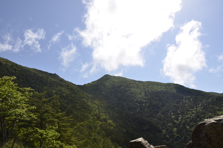 雲の上のアポイ岳_a0252333_19203366.jpg