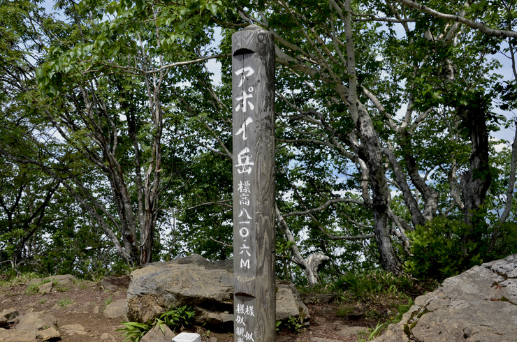 雲の上のアポイ岳_a0252333_1942524.jpg