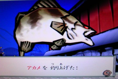 大神 やることその２ 今日はドコにマーキング