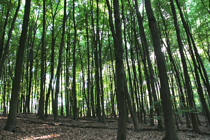 c0153740_17124298.jpg