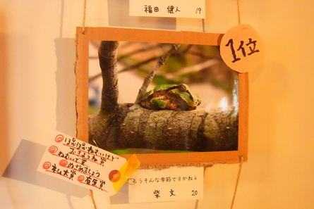 写真展から写真展へ!_b0207642_16502023.jpg