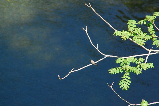 a0238350_16442865.jpg