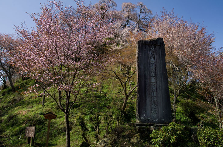 世界遺産、吉野山の山桜を見に行こう！_c0257955_0124441.jpg