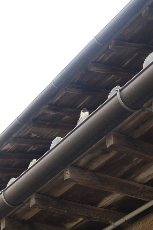 b0238161_15511592.jpg