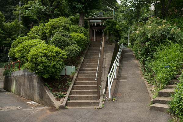 2013/06/16 溝の口から新丸子まで:その1_b0171364_112548.jpg