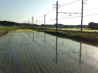 線路は続くよどこまでも♪_e0136066_20172876.jpg