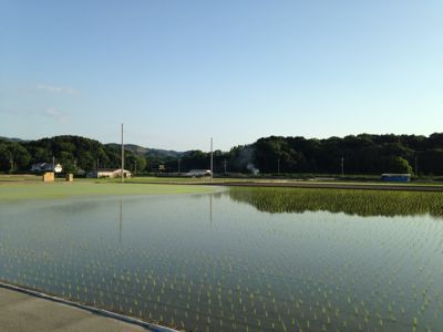 線路は続くよどこまでも♪_e0136066_20172919.jpg