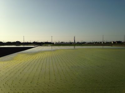線路は続くよどこまでも♪_e0136066_20172953.jpg