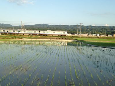 線路は続くよどこまでも♪_e0136066_20173044.jpg