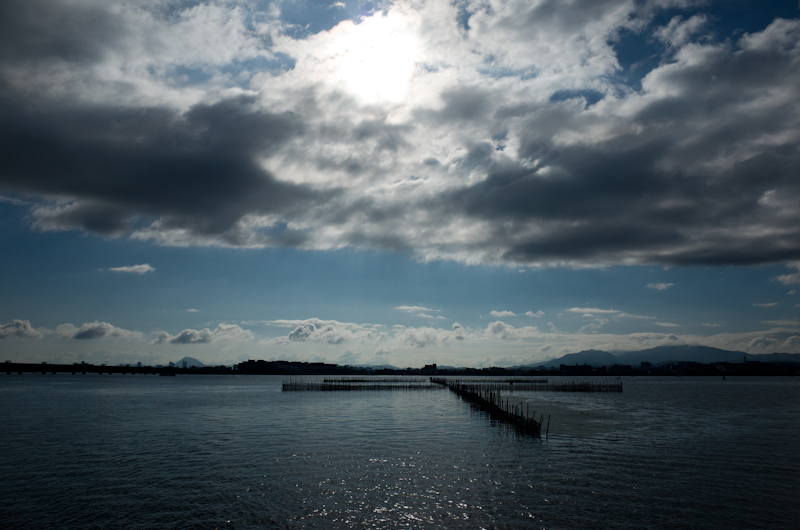 琵琶湖岸から　今朝は雲の多い湖岸です_f0080267_7451100.jpg