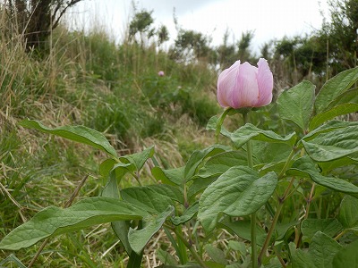 f0057070_2332713.jpg