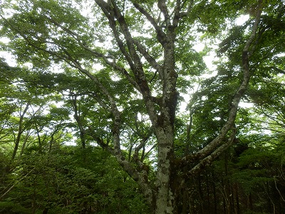 f0057070_234080.jpg