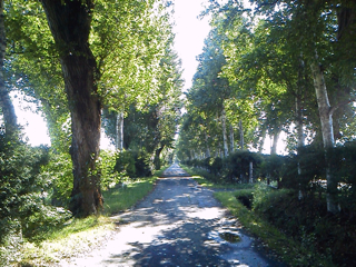 b0197480_1123624.jpg