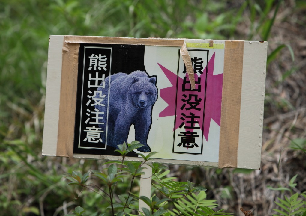 ワタスゲと姫サユリを求め・・・南会津へ　＜2＞　駒止湿原　２０１３・０６・１５_e0143883_12321624.jpg