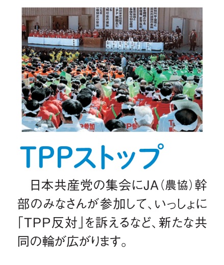 判断は全体の条件、状況を整理してからすべき_d0044584_13291093.jpg