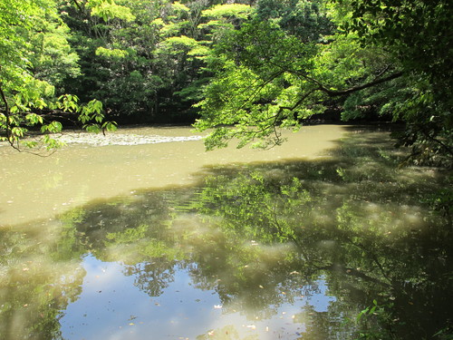 伊勢神宮：皇大神宮・内宮をお参りする（１２）_c0075701_208815.jpg