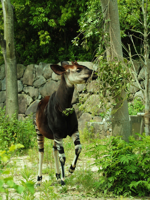 a0164204_22372840.jpg