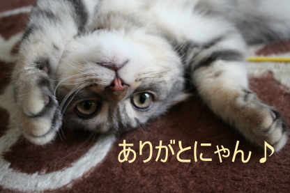少し落ち着きました。。_c0178104_10121066.jpg