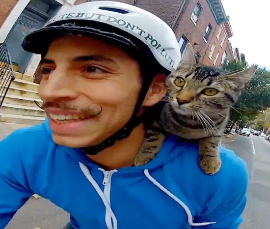 ♪シマ猫メアリーの宅急便~ GoPro: Cat Bike Guy _b0007805_14295750.jpg