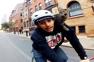 ♪シマ猫メアリーの宅急便~ GoPro: Cat Bike Guy _b0007805_14301513.jpg