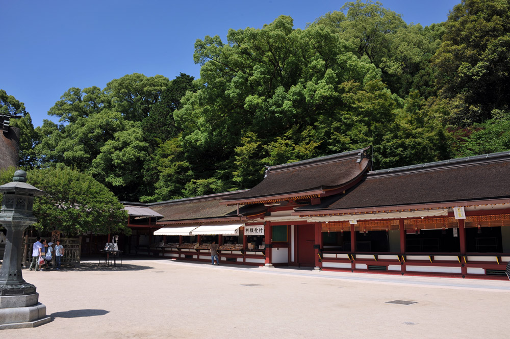 太宰府天満宮のアジサイ_a0042310_1332168.jpg