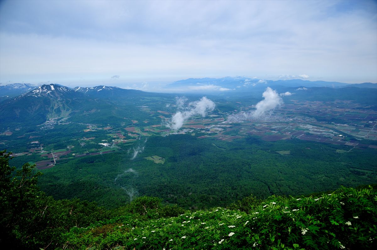 羊蹄山へ花見登山♪～比羅夫コース　2013.6.16_a0145819_1742543.jpg