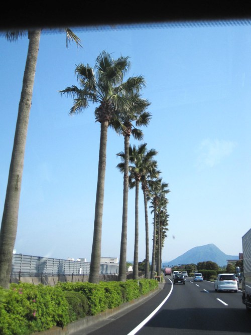 b0203919_18343729.jpg