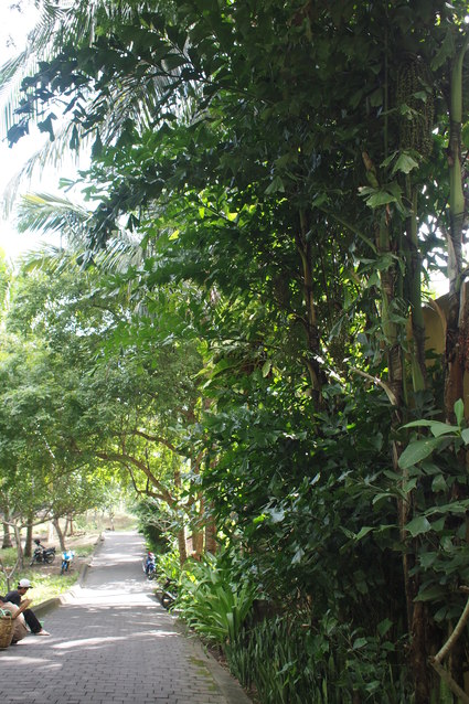 c0258123_0193092.jpg