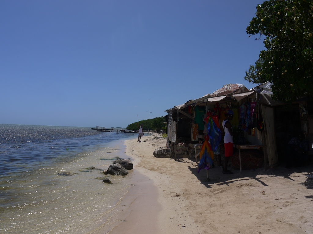 d0235123_175998.jpg