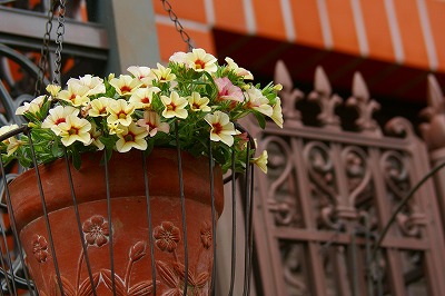 f0170524_11491010.jpg