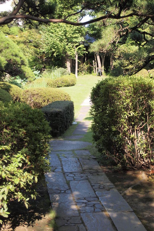 日本庭園観賞・・・。_a0214329_17113932.jpg