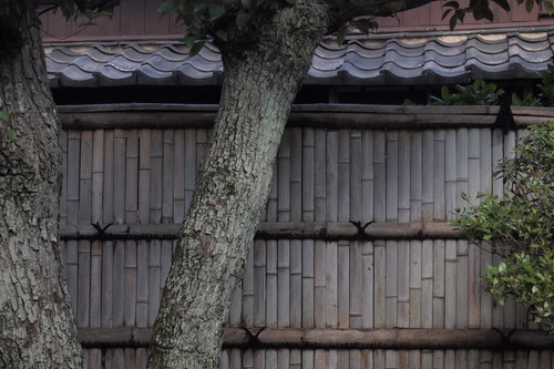 日本庭園観賞・・・。_a0214329_17151581.jpg